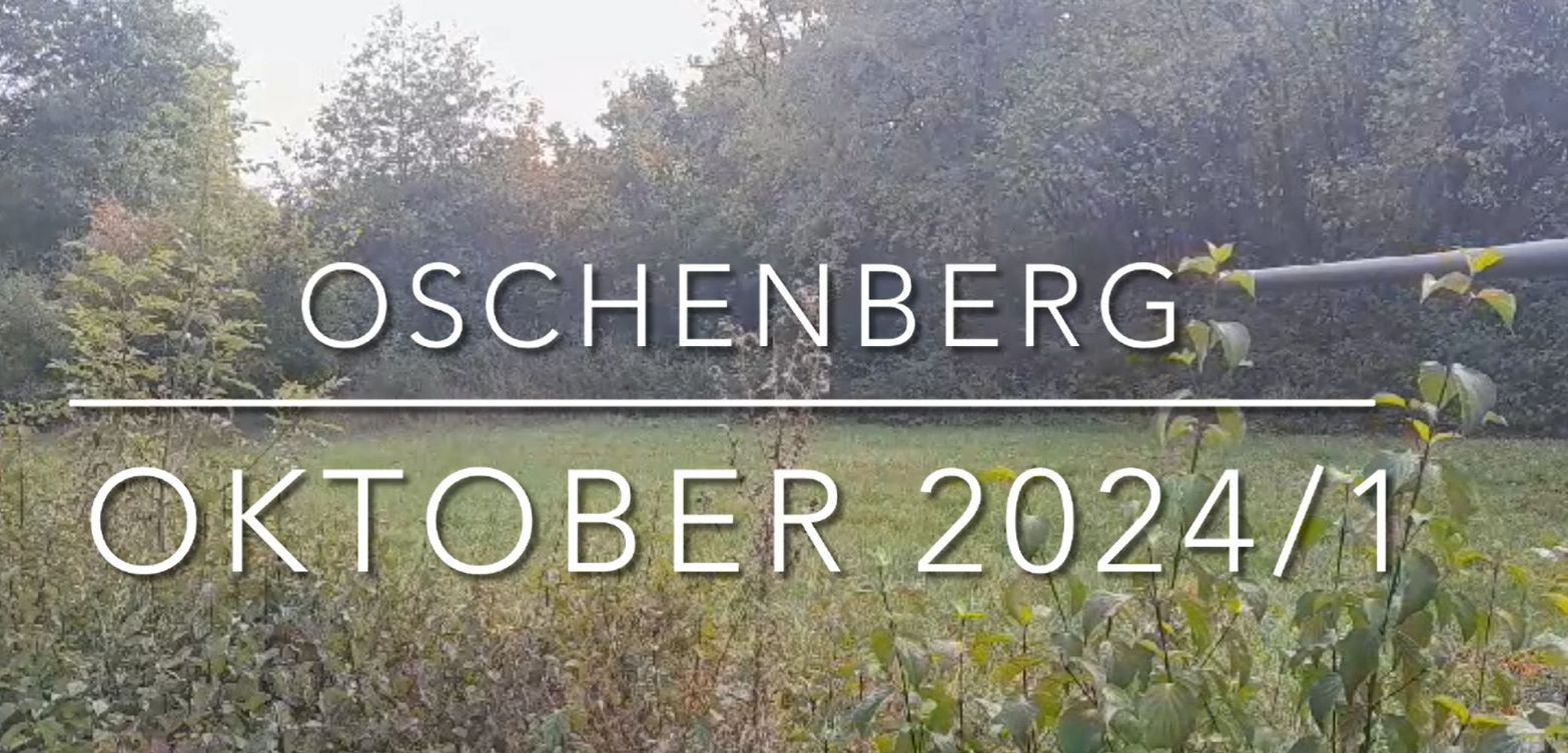 Oschenberg 2024-1
